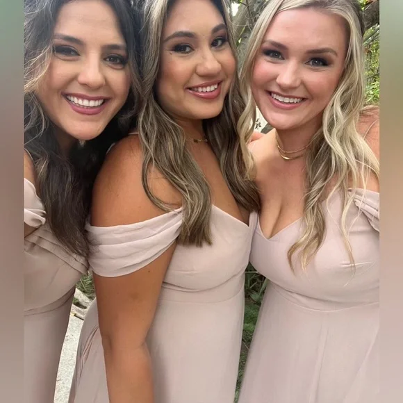 Taupe Chiffon Gown Size 12 - Picture 2 of 5